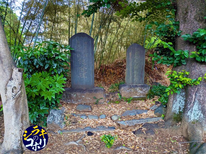 ファイル:広沢観音堂の石碑.jpg